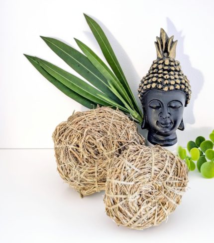 Eco-friendly vetiver body scrub for natural skin exfoliation